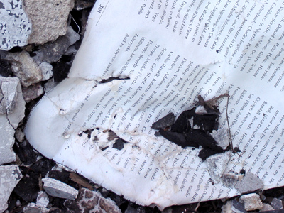 Literate litter from the burned-out house across the street.