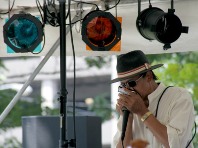 A blues harp is much easier to get into the car than the regular kind.