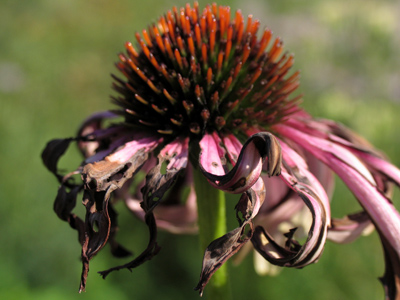 August has been a rough month.