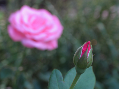 Outgoing and incoming.