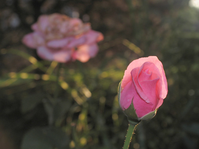 Descending and ascending.