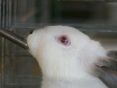 You build up a mighty thirst just by being cute.