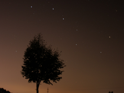 The span of my existence is insignificant compared to the tree, as is the tree to the Earth, and the Earth to stars.