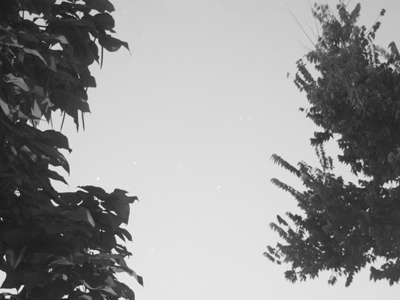 I drove out to the country to photograph stars last night.  Here`s what I got from my window in the city tonight.