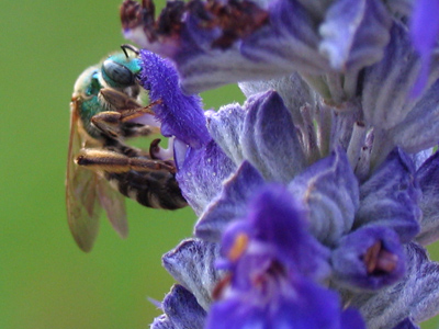 In case you lost track, I`ve now taken pictures for 1200 days in a row.