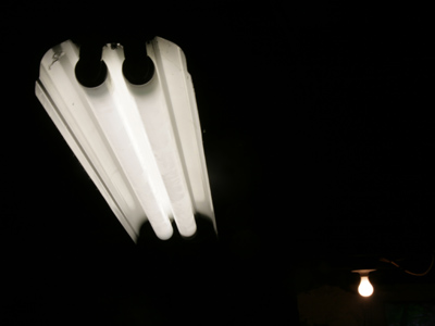 Waiting for my towels to dry.