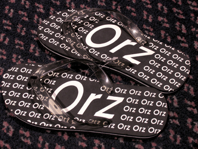 The band is called One Ring Zero.  Devoted fans paid $20 for these flip-flops.
