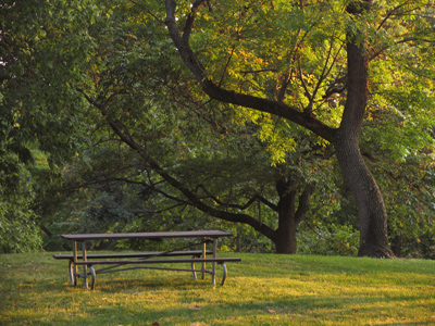 I had no intention of being here to shoot this, but I saw it from the road and quickly turned off.