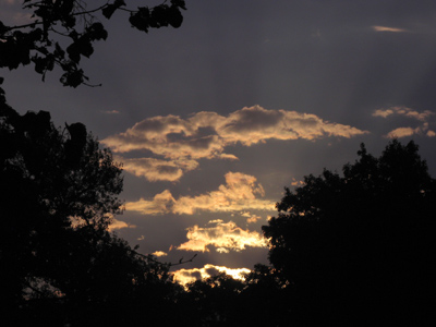 I was up early for sunrise at the cemetery . . . 