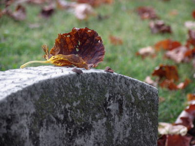  . . . I was the only one there who could appreciate it.