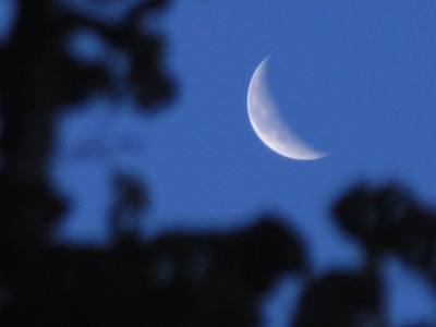 The pursuit of perfection is often perceived critically, and `perfectionist` is an undesirable label to have.