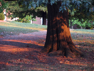 It`s amazing how I can convince myself almost anything is an interesting picture when it`s really hot outside.