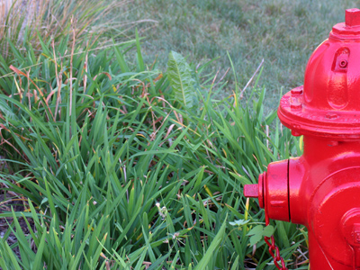 This idea looked a lot better in my head.