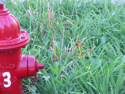 It`s the same fire hydrant, but from opposite directions.