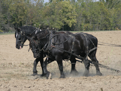 The plough that broke the plains.