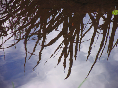 The sky couldn`t decide if it was in a good or bad mood.