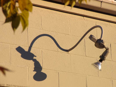 After voting:  roaming the neighborhood.