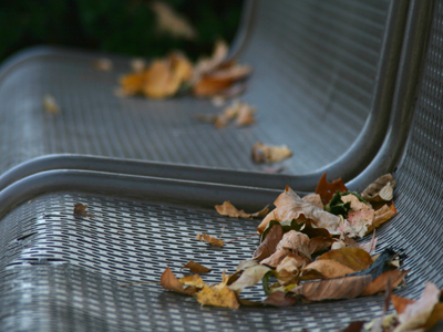 There`s more where that came from.