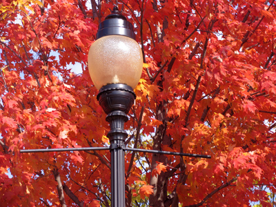 Fall is my second-least favorite season, mainly because it leads to my least favorite season.