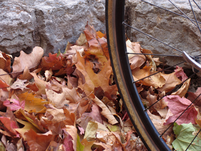 Hopefully this person will be able to use another method of transportation in the months to come.