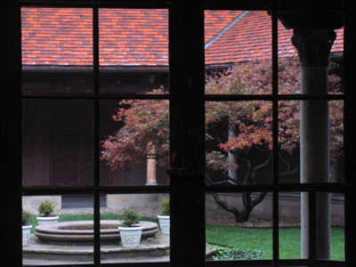 You don`t expect me to go out in the rain and take pictures?