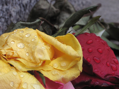 Among artists and historians, this type of picture is called `memento mori`, or a symbolic reminder of our mortality.