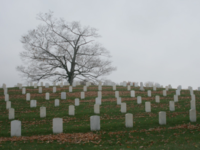 Without sunshine, the place has a nice dreary quality.