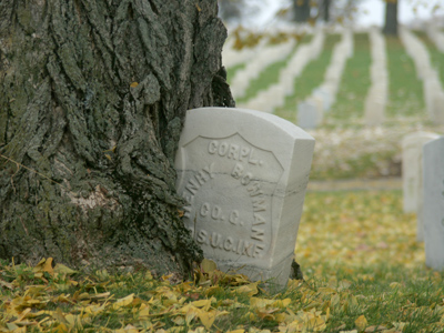 Don`t let them plant you too close to a tree, no matter how small it is at the time (see October 3, 2007).