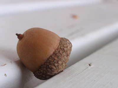 I also had a picture of a leaf on a bench, but I think you`ve seen that before.