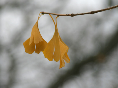 What starts up . . . 