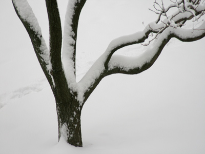 Shot out the window, of course.