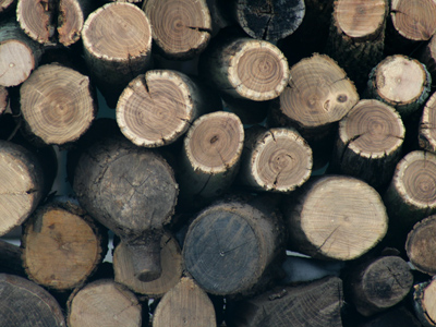 How much wood would a woodchuck chuck?