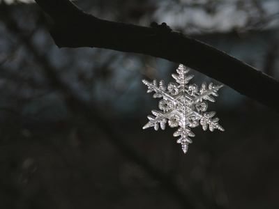 There are no two of these alike.