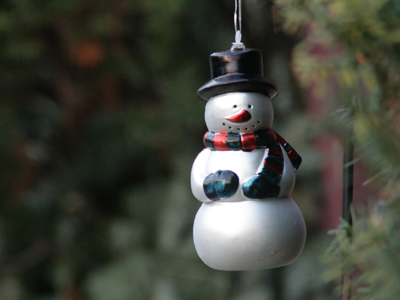 Fossil records reveal that prehistoric snowmen were shorter and slightly bent over.