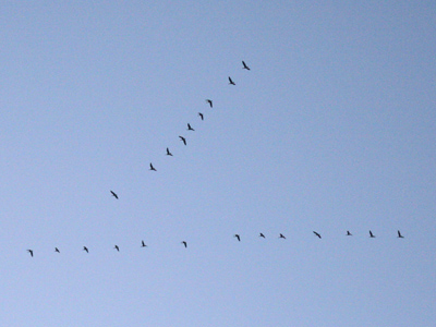 They`re heading west, maybe to catch a connecting flight.