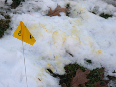 Contrary to what you may have been told, yellow snow indicates an underground gas pipeline.