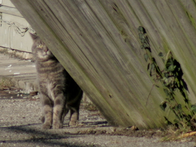 `It was broken when I got here.`