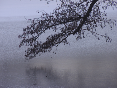 Colorful wall at Wegerzyn.