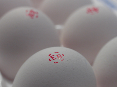 The dangerous circular staircase again:  it must be the first night of a new photography class (see January 9, 2006, and February 1, 2006).