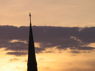 Some strangely creative person put this in a planter.  I happened to see it as I passed, so I`m sharing it with you.