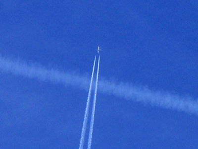 In the meanwhile, I just go to other people`s exhibitions.