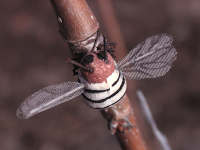 Glasses in the dishwasher.