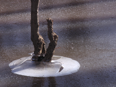 It`s a soprano thing.