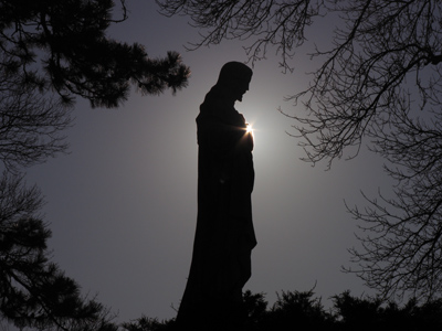 Stuff with snow on it, part 3.