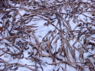 `GET ME OUTTA THIS TRASH CAN!!`