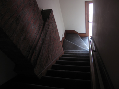 My big adventure today was going down the stairs . . . 