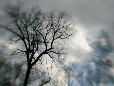 Day 14 of being sick, and ready to try something new.