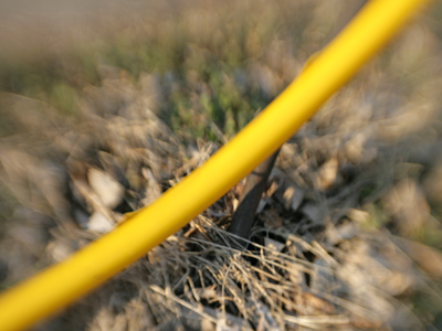 Today`s first picture must have been pretty bad if I preferred this one over it.