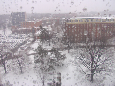 I wonder what the view from the ladies` room is like.