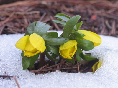 I hate most of the pictures I`ve taken during the past couple of months, so this was very encouraging.